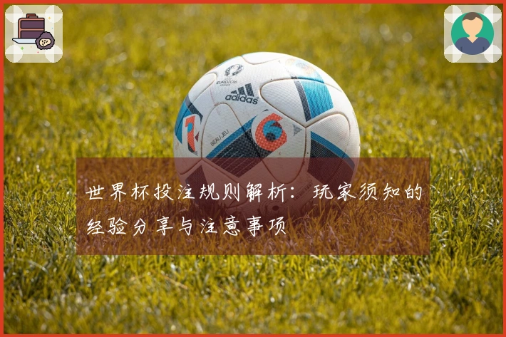 世界杯投注规则解析：玩家须知的经验分享与注意事项