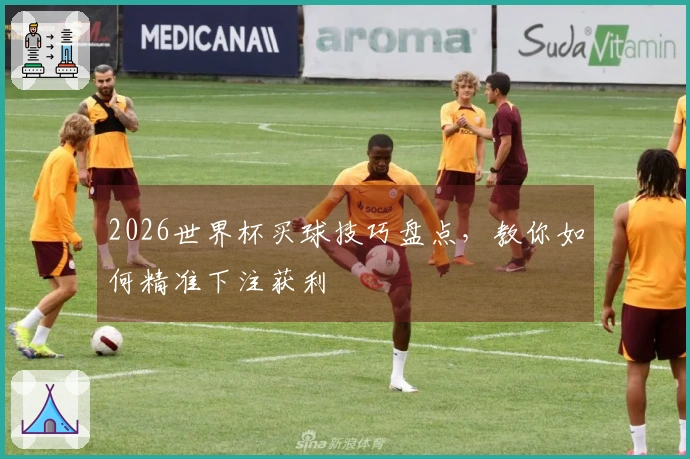2026世界杯买球技巧盘点，教你如何精准下注获利