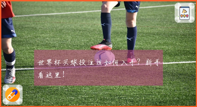 世界杯买球投注该如何入手？新手看这里！