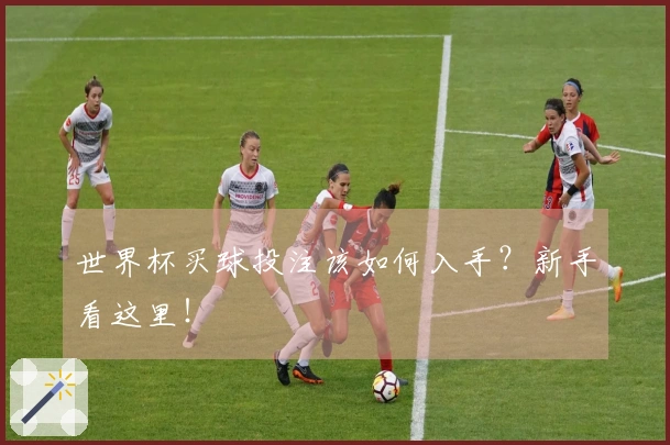 世界杯买球投注该如何入手？新手看这里！