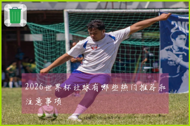 2026世界杯让球有哪些热门推荐和注意事项