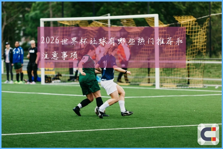 2026世界杯让球有哪些热门推荐和注意事项
